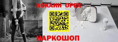 гидра Будённовск