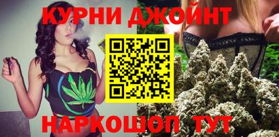 гидра Будённовск