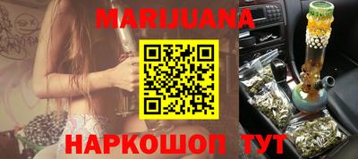 гидра Будённовск