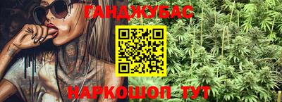 гидра Будённовск