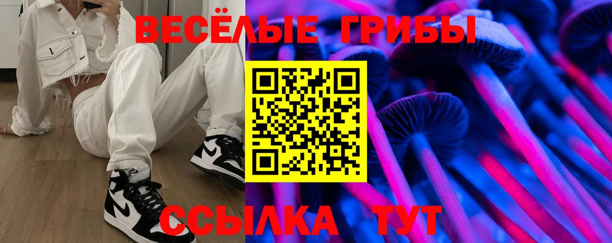 Старый Оскол  дарнет шоп  Вход с VPN  Галлюциногенные грибы GOLDEN TEACHER 